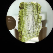 img-20230914-090235.jpg