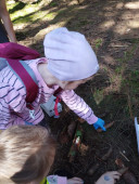img-20250422-wa0035.jpg