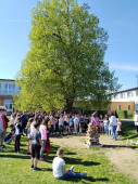 img-20250430-wa0006.jpg