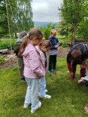 img-20250522-wa0005.jpg