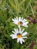 img-20250523-wa0003.jpg