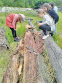 img-20250523-wa0040.jpg