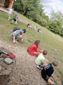 img-20250606-wa0041.jpg