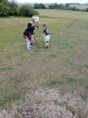img-20250606-wa0045.jpg