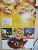 img-20251002-wa0003.jpg