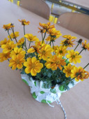 img-20260511-wa0018.jpg