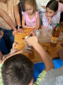 img-5135.jpg