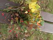 img-20251016-111915.jpg