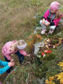 img-20251016-112013.jpg