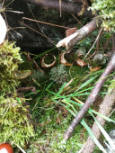 img-20251016-113857.jpg