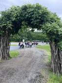 img-6033.jpg