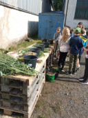 img-20260616-wa0004.jpg
