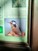 img-20260908-113647.jpg