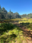 img-20260908-wa0004.jpg