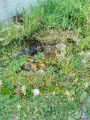 img-20261001-125114.jpg
